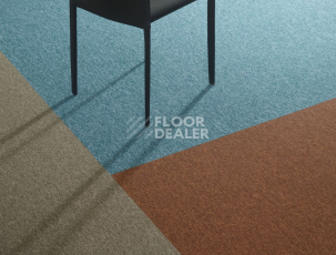 Bloq Tradition Tradition 120 фото 6 | FLOORDEALER